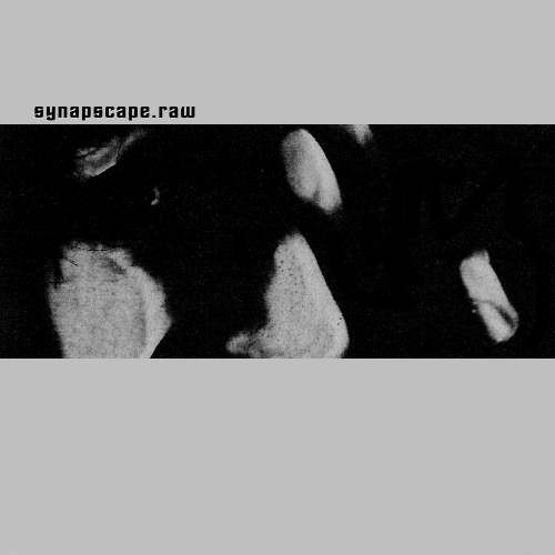 Synapscape - Raw CD (2002)