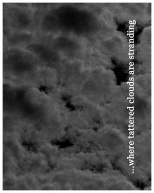 V/A Sampler - Where Tattered Clouds Are Stranding 2CD (Lim1000)