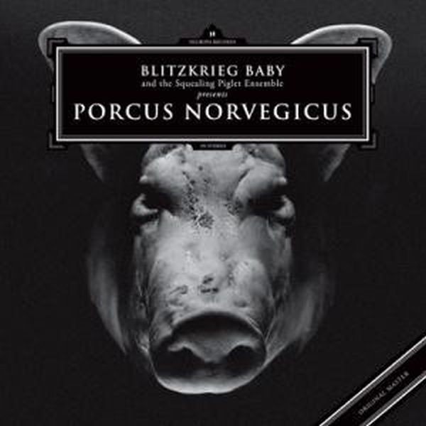 BLITZKRIEG BABY - Porcus Norvegicus CD 1st (LTD) 2013